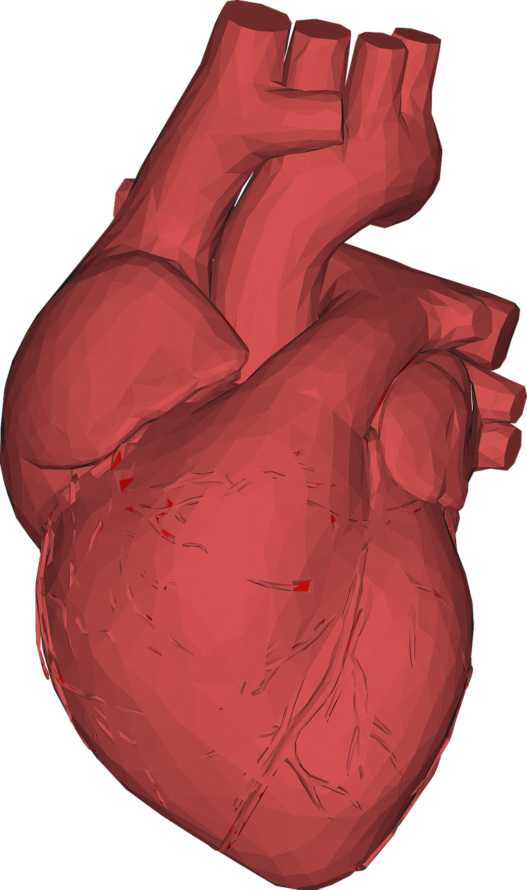 beneficios de la impresora 3d en la medicina