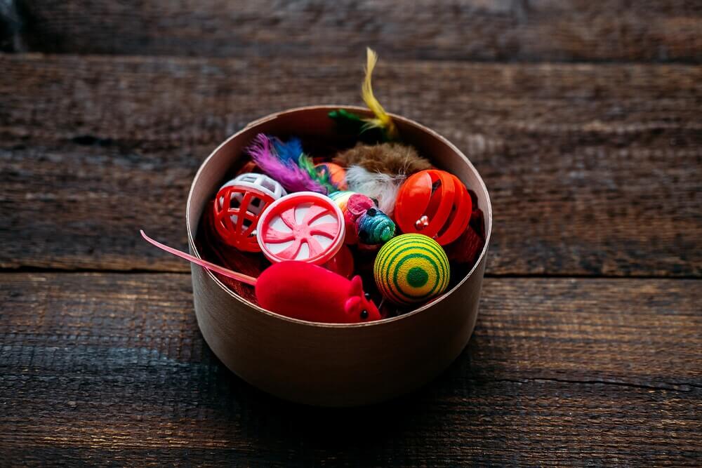 piezas 3d para tu mascota