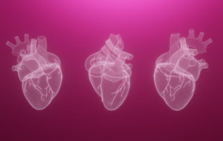 corazón humano impreso en 3D