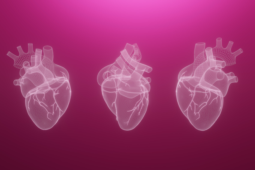 corazón humano impreso en 3D